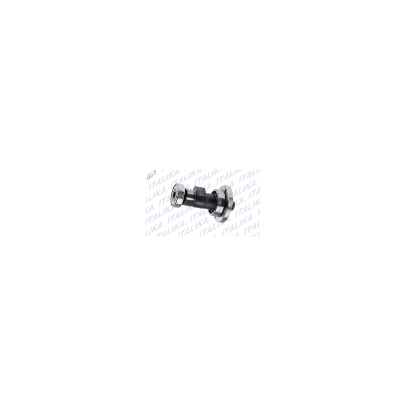 ARBOL LEVAS 6003Z P6 FT250 2016
