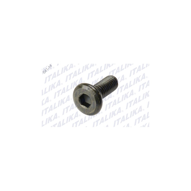 TORNILLO DISCO FRENO 250SZ