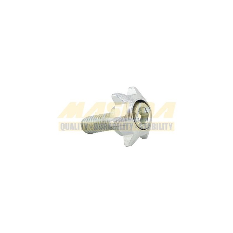TORNILLO DECORATIVO ALUMINIO CON COLORES ESTRELLA M6 PLATA