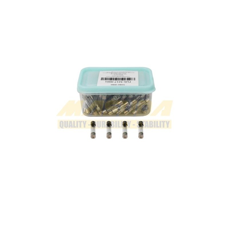 FUSIBLE VIDRIO
