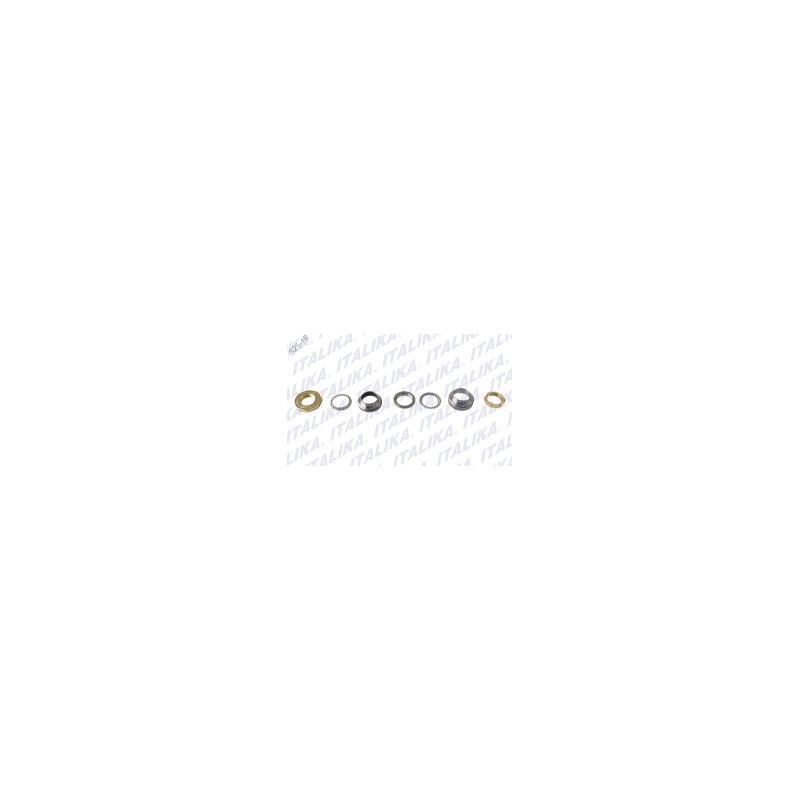 JGO BALEROS D125 2017