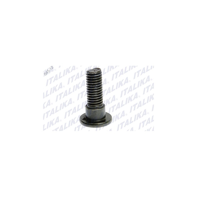 TORNILLO DISCO DE FRENO M8 X25 RC150 GT, 250Z