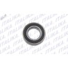 BALERO BOLA RADIAL 6005-2RS 250Z