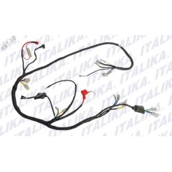 ARNES PRINCIPAL FT125 CLASICA, FT125 NEW SPORT, FT125 CHAKARERA