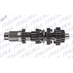 CONJUNTO PRIMARIO TRANSMISION DT125 CLASICA, DT125 DELIVERY, DT125 SPORT, FT125 CLASICA, FT125 PLATA, FT125E LOW, FT125 ROJA, FT