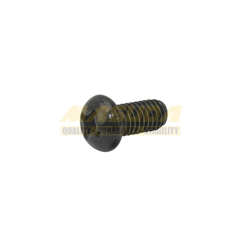 TORNILLO CON CABEZA REDONDA PHILLIPS VERDE M6*12