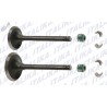 KIT VALVULAS MOTOR 125Z 2017
