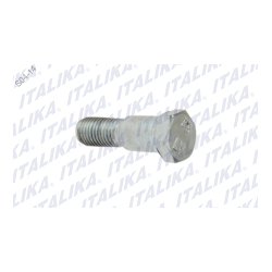 TORNILLO PARADOR LATERAL 250Z