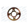 ENGRANE TRACCION FINAL 42T DT200 SPORT, FT180, FT200, FT200 AM, FT250, RT180