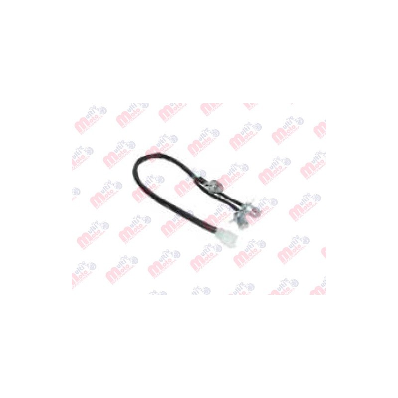ARNES DE CALAVERA PARA WS-150/WS-175