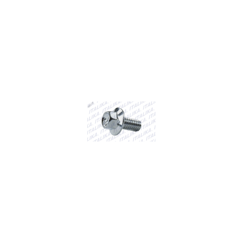 TORNILLO 6X12  GSC175